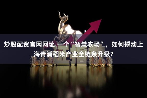 炒股配资官网网址 一个“智慧农场”,如何撬动上海青浦稻米产业全链条升级?
