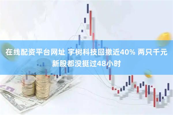 在线配资平台网址 宇树科技回撤近40% 两只千元新股都没挺过48小时