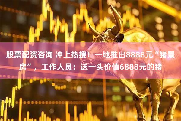 股票配资咨询 冲上热搜！一地推出8888元“猪景房”，工作人员：送一头价值6888元的猪